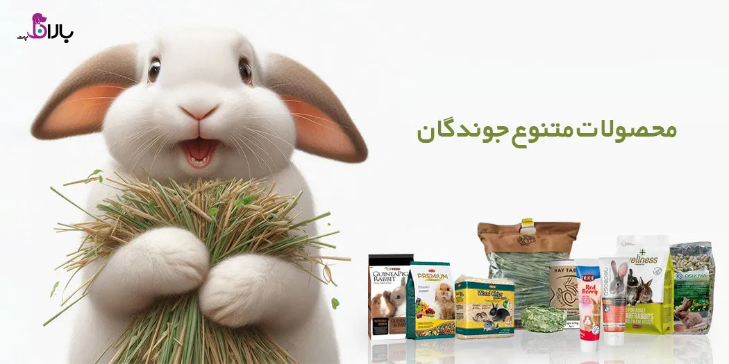 بهترین تخفیفات